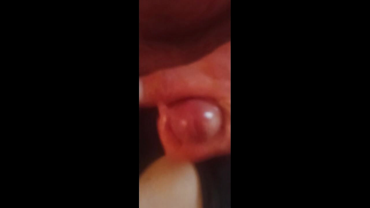 Una raccolta di tutto ciò che facciamo in brevi clip rapide