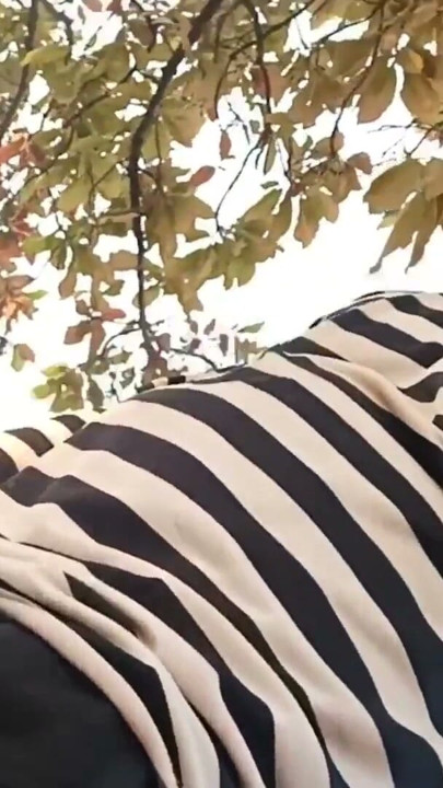 Indian big adventure in jungle with hot big cock | Clip 1