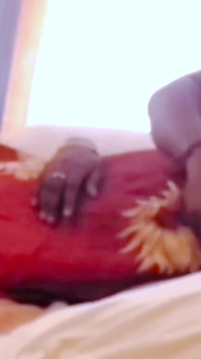 Desi Tamil Hotel Maid Gets Pussy Eaten in 69 & Hard Missionary Fuck by Owner Pt 2