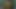 私のGFは素晴らしいです