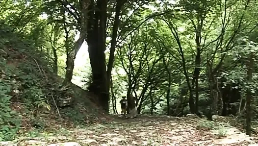 Шаловливую тинку трахает зрелый экскурсовод в лесу