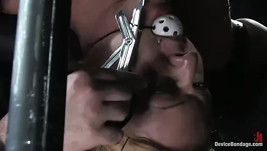 Bonus Update: Part 2 of the Nov Live Feed