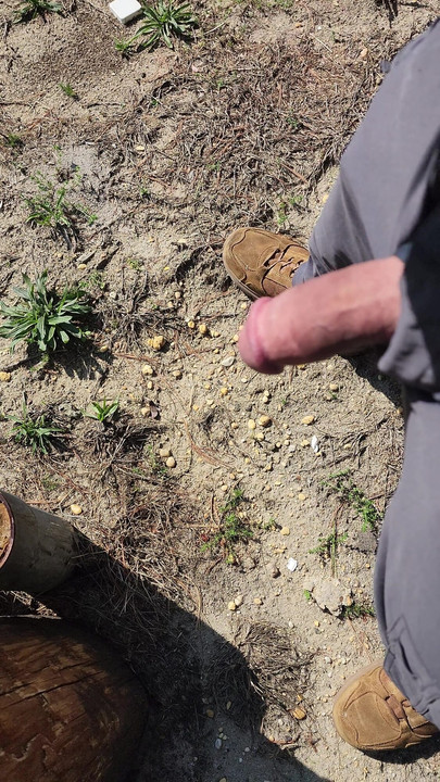 Iconic moment from "Hot hard thick ringed clamped mushroom tipped cock throbbing outdoor pissing"