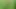 Naked fields!
