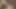 Mouth fuck in the shower and pissing on her pussy
