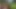 Geiler versauter Sommerfick im Wald mit deutscher Blondine