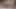 Horny Teen Playing with Lovense and Shaking Before Anal Orgasm Trans Porn Nbnabunny