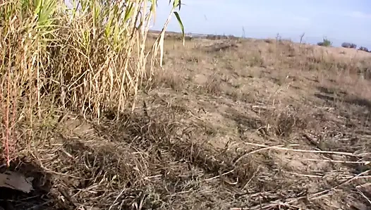 Brünette mit kleinen titten nimmt alles