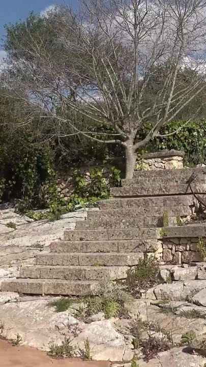 Outdoor Exercise Ball Gangbang with Dripping Creampie Overload