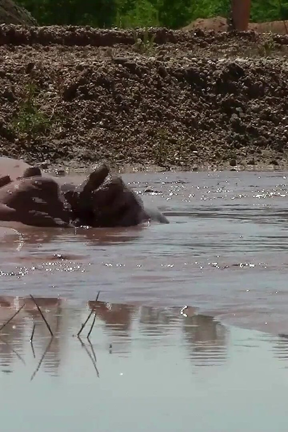 Banho de lama marrom profundo e cremoso em um poço de areia