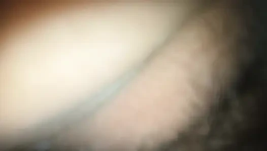 My video night sut