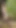 Erika Oak Forest Piss In Latex