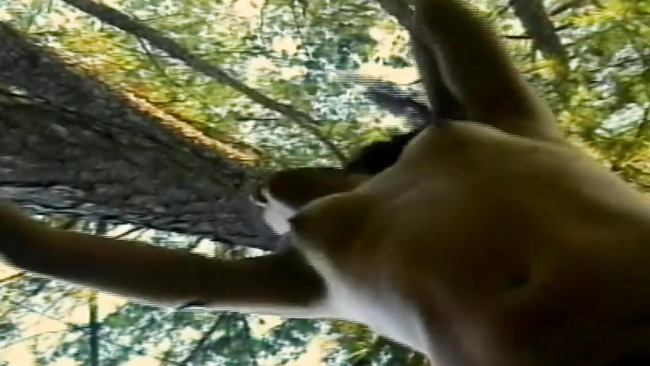 青少年变性人 12 3