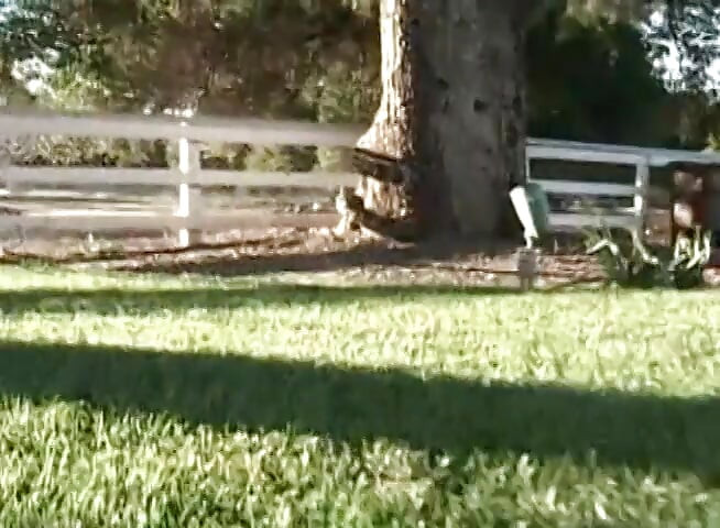 Hot slut with hairy pussy banged by her secret lover
