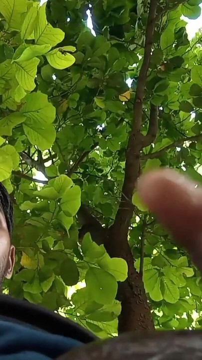 Must-share moment from "Desi Indian boy ykal hastmaithun"