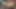 Kaslar penis insanın derinliklerine kayıyor, binici adam götten sikiliyor uzun hiper penis ai gay