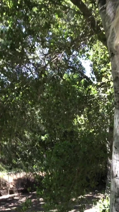 Powerful moment from "Teenage daughter had sex with gardener"