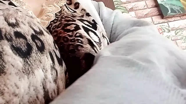 Tits on the morning