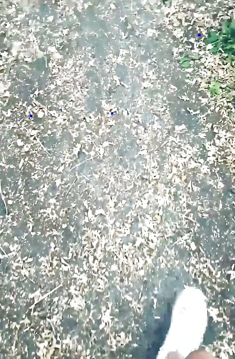 POV Naked Walk in the Woods