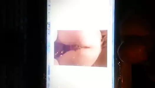 Harika bir haraç