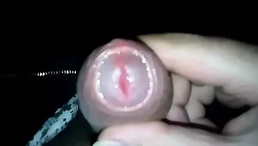 BIGGUS DICKUS !!!