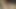 アジアの天使 - 21137