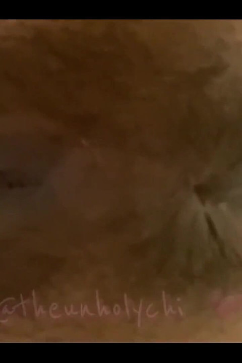 I Think Someone Saw..
