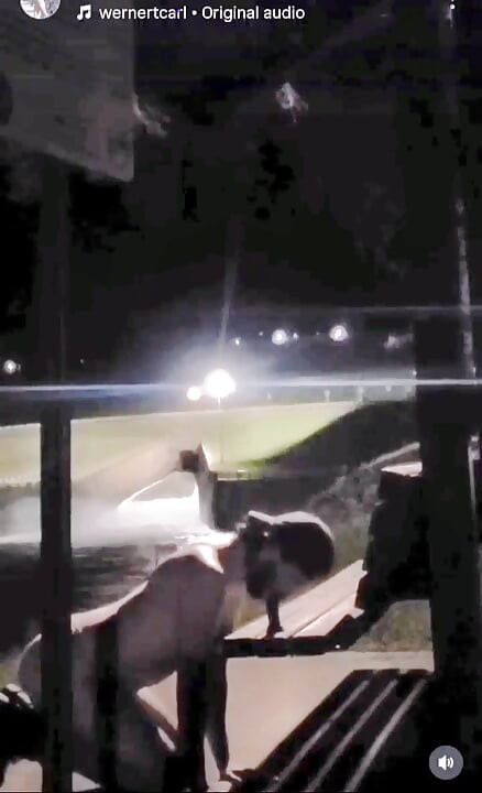 Riding dildo in public at Sardis spillway