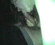 in car