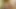 Outdoor-Blowjob mit Sperma im Mund