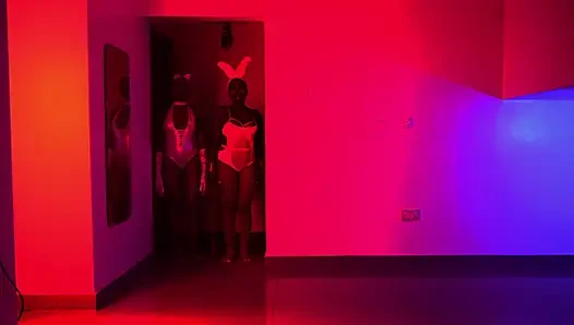 Halloween Mit Wildlagos (2025)