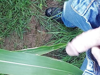 Caminando al aire libre, poniéndose cachondo y masturbándose con una hoja de maíz