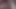 Video ElizaBerry_