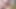 セクシーな日本人がカメラで遊ぶ