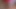 Bundan hoşlanacağını biliyorum tavşanlarım