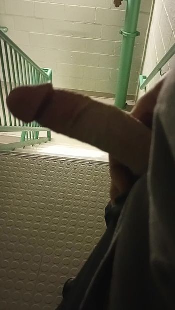 Solo in the stairwell dick