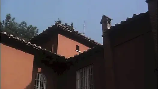 Memek berbulu dientot di sofa