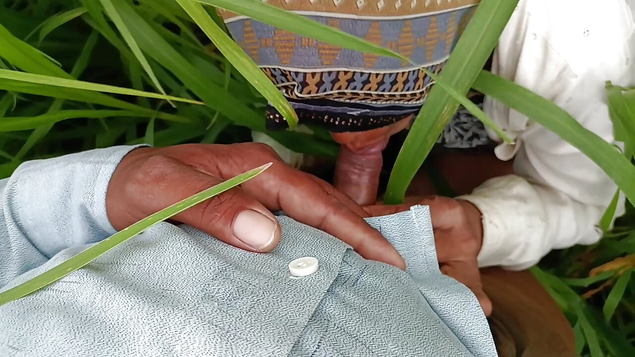 In the millet field, my elder sister-in-law sucked the cock and ass Mari opened the field of millet and killed my sister-in-law's ass