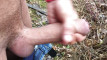 Pratinjau video