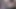 Tiktok'ta işte böyle viral oluyor - Eden Ivy taşakları derine alıyor