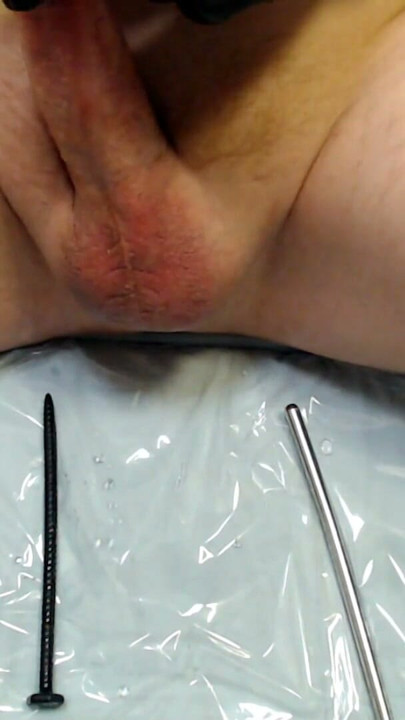 Cock sounding | Clip 2