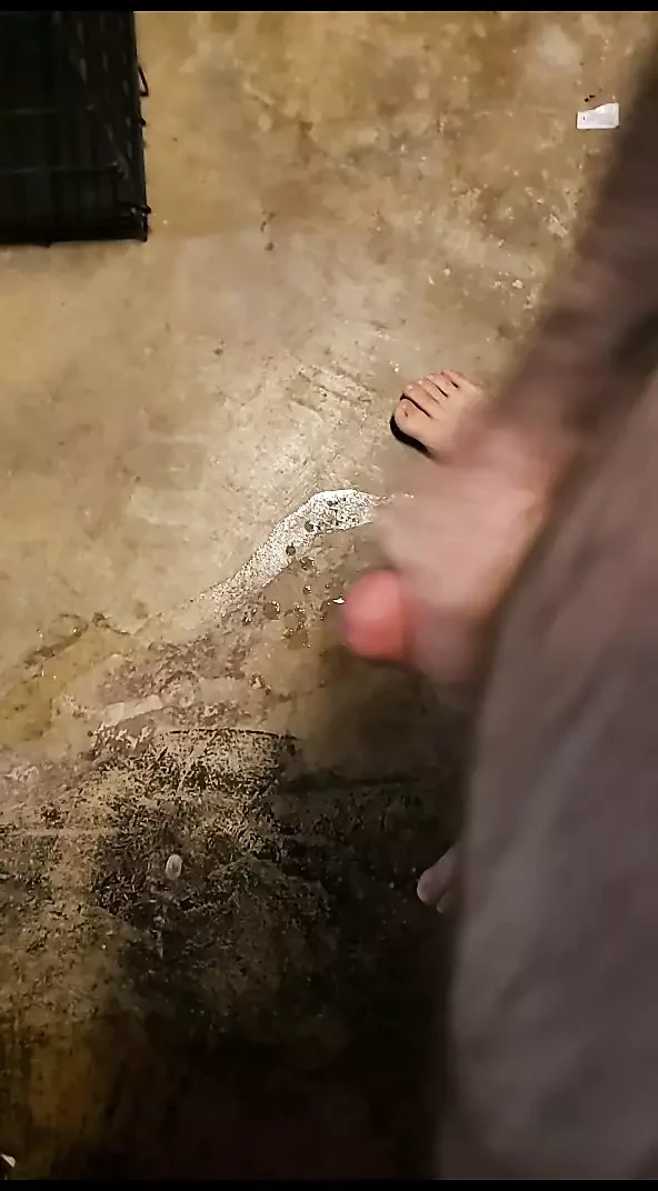 Just a quickie