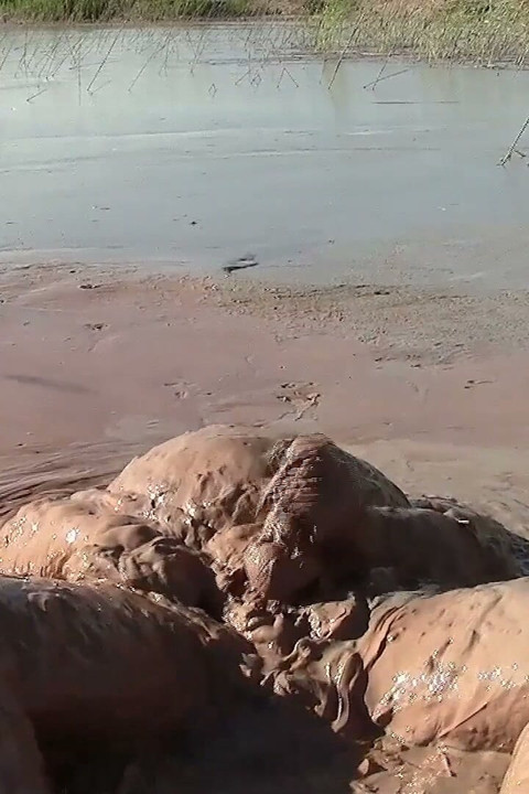 Splish Splosh - What a Mud-jump!