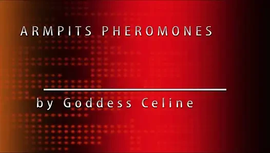 Achselhöhlen-pheromonen (teil 2)