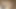 Indian Girl Lost in the Jungle and asks Wild Pollon for Rescue, until she sucks and survives