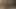 Two hot young stepsisters sharing my horny cock