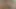 Masaj terapistine oral seks ile teşekkür etmek