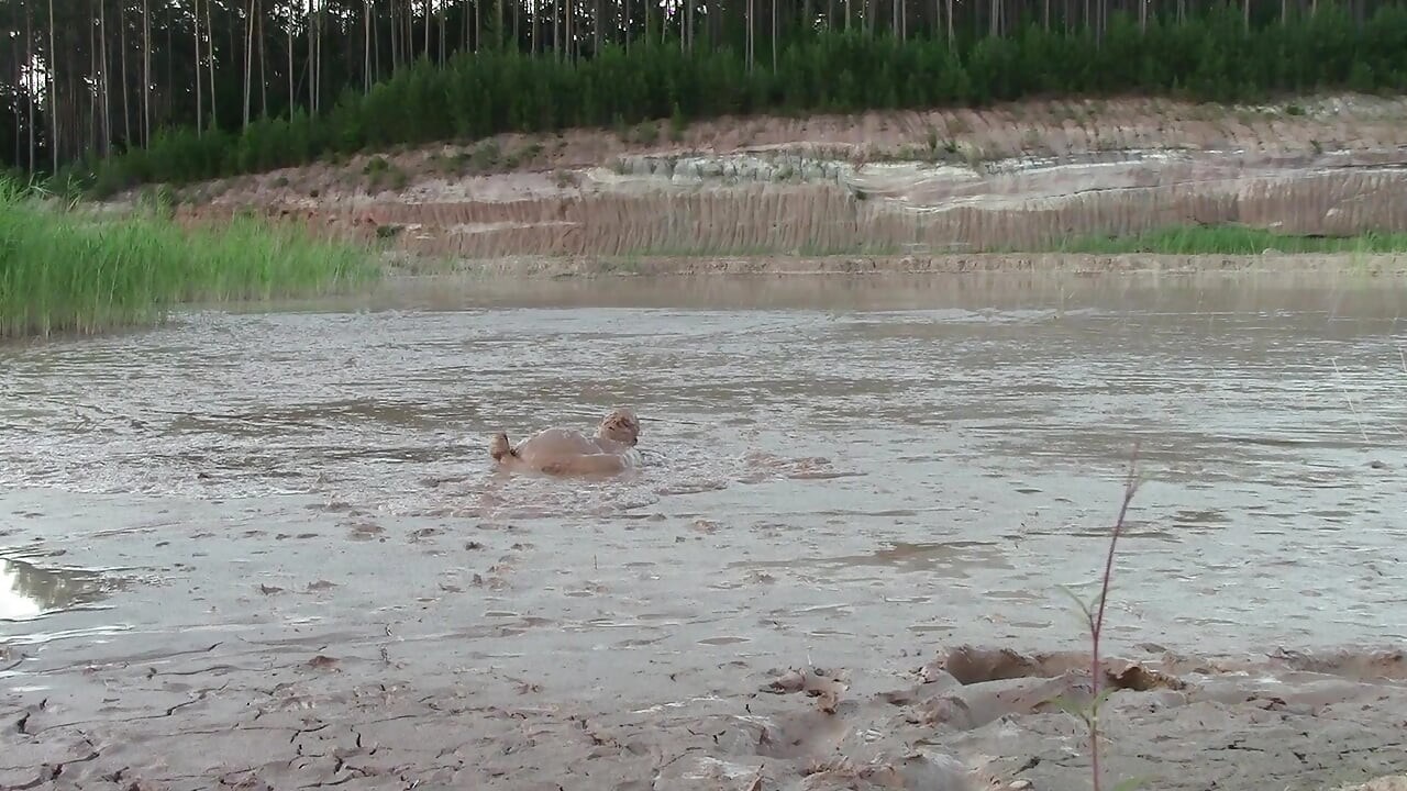 Exploring the Deep and Creamy Mud Pond
