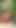 Sloppy Deepthroats, Blowjob And Ball Licking In the Forest - Luna Doll