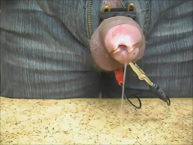 Ich Bin Ein Schwein